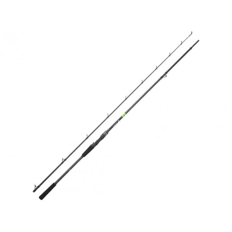 Canne Casting Daiwa Prorex E 2022 (135g - 1m98 - 60 - 120g - 2)
