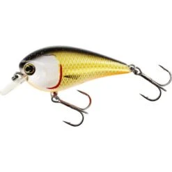 Poisson Nageur Westin Bassbite Squarebill 7cm (Official Roach)